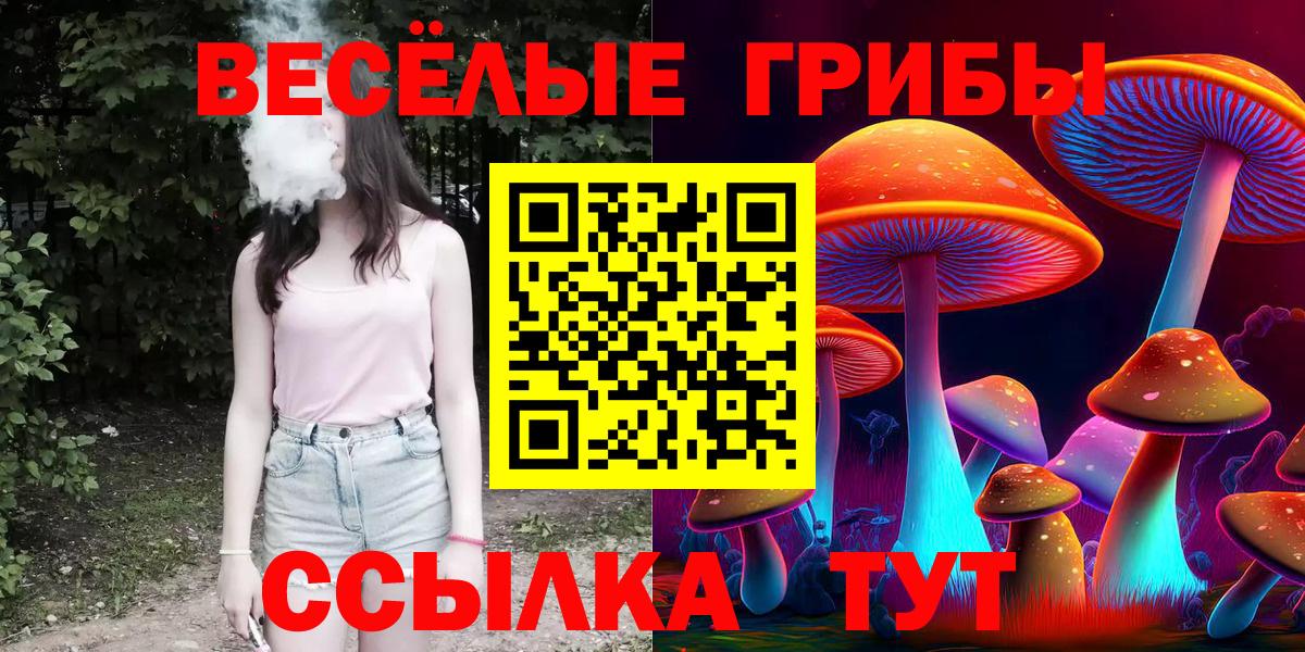 Берёзовский  где найти   Вход с VPN  Псилоцибиновые грибы мицелий  Галлюциногенные грибы ЛСД 