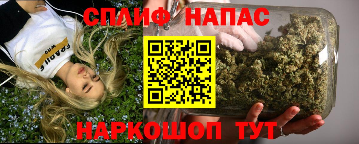 Каннабис план Берёзовский